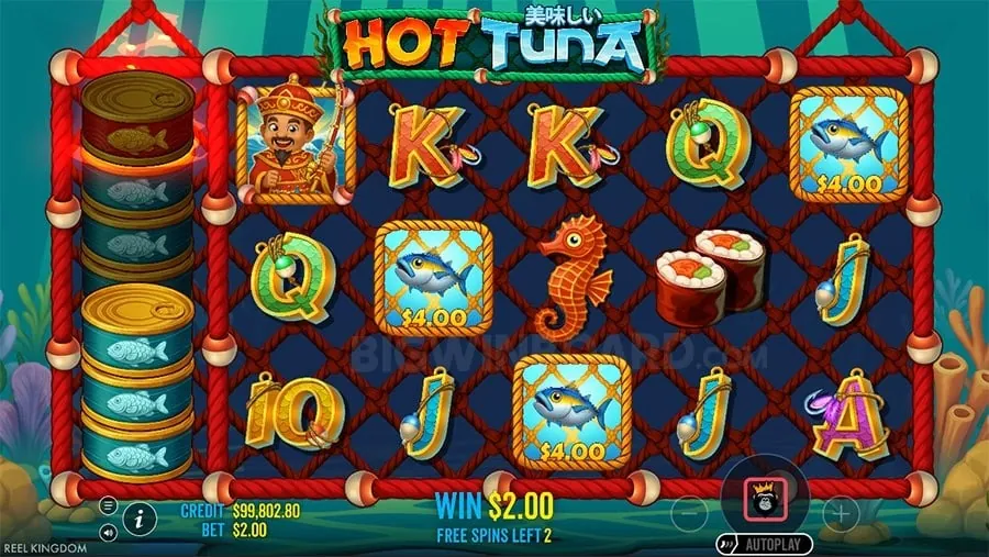 nustargame Understanding Roulette Odds